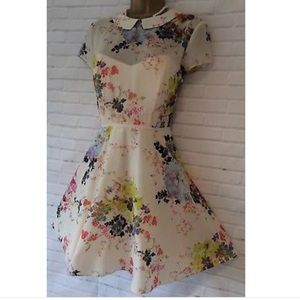 Ted Baker dress